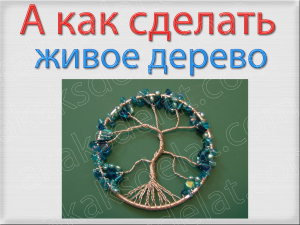 Как сделать живое дерево счастья своими руками фото комнатное Как сделать живое дерево счастья своими руками фото комнатное